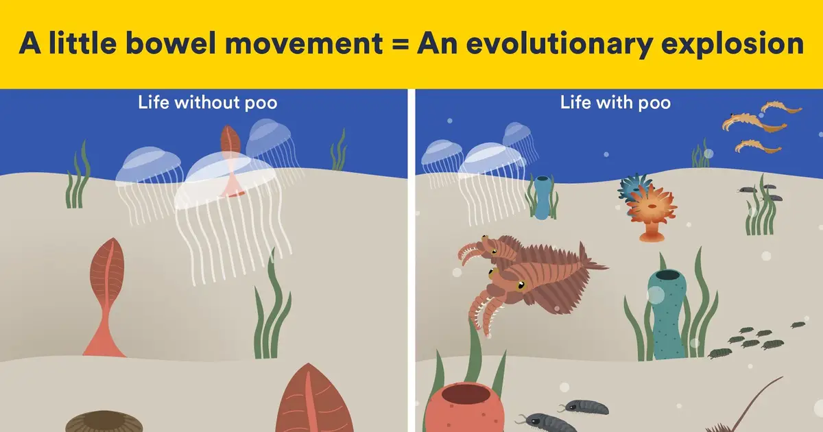 How the 'fecal revolution' changed Earth's ecosystems