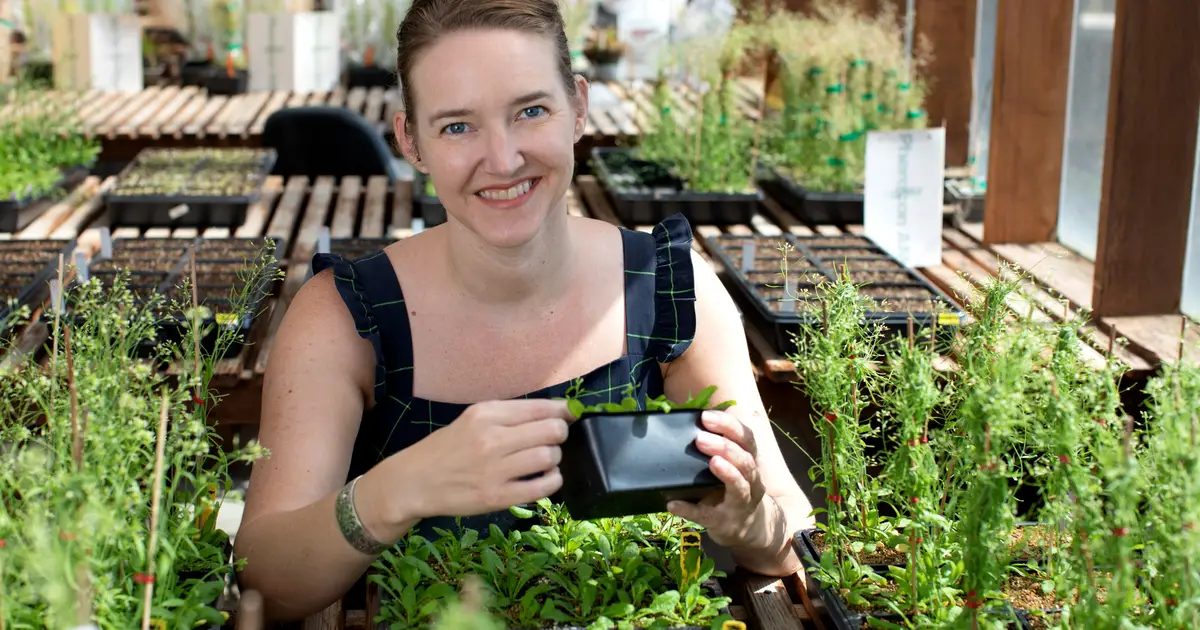 How plants survive constant DNA damage: Newly identified repair protein protects growth-critical stem cells