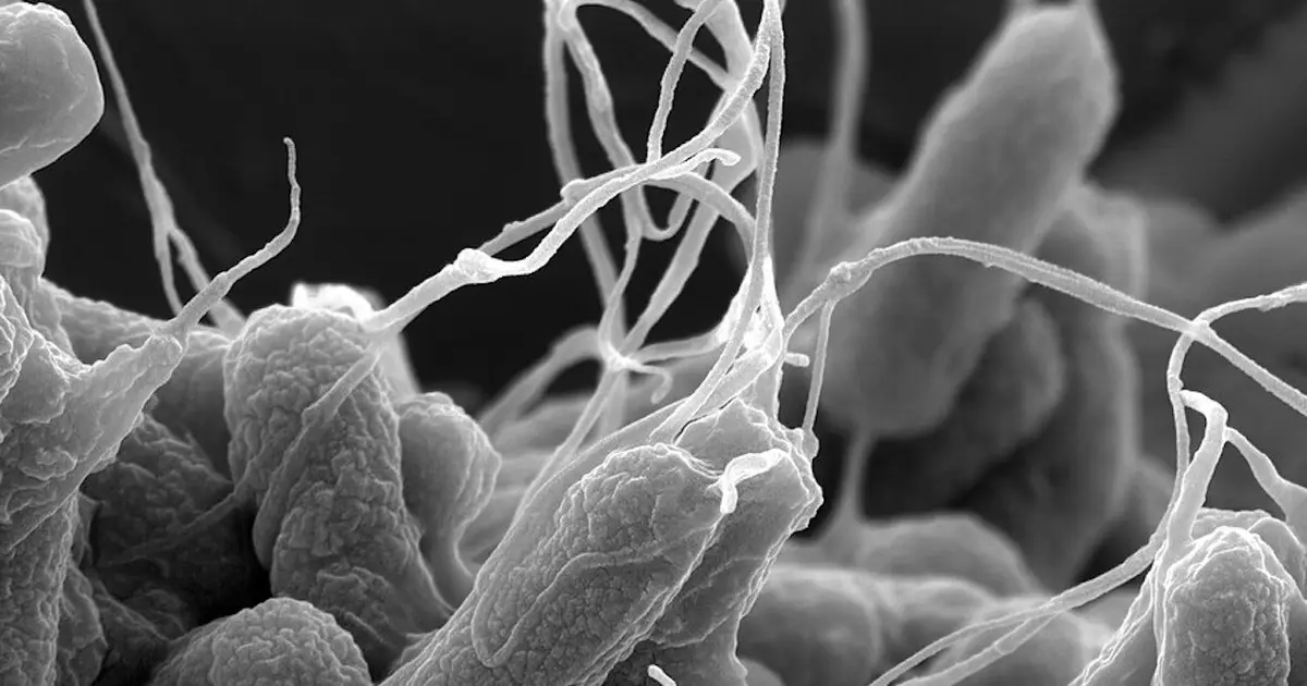How generative AI and physics can help design new antibiotics