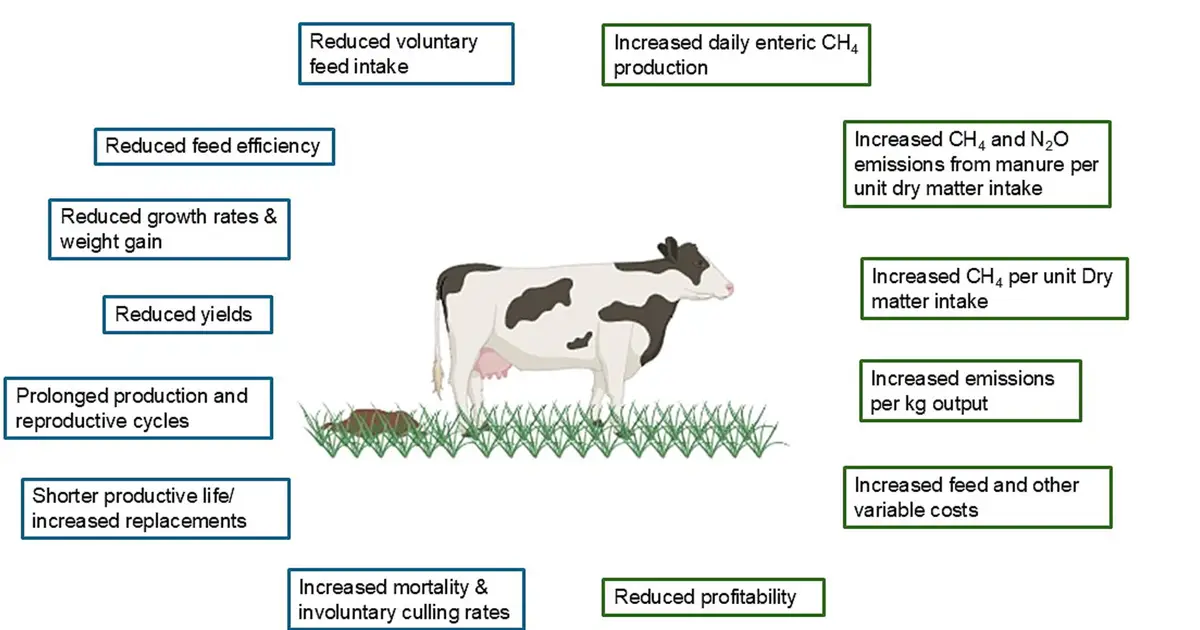 How healthier farm animals can cut greenhouse gas emissions