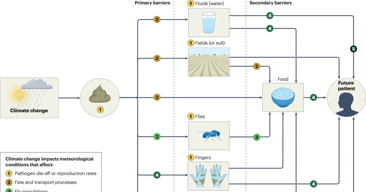 Climate change reshapes waterborne disease risks as pathogens respond differently, review finds