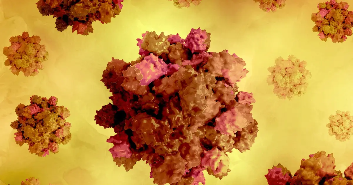 How pregnancy itself drives deadly hepatitis E outcomes