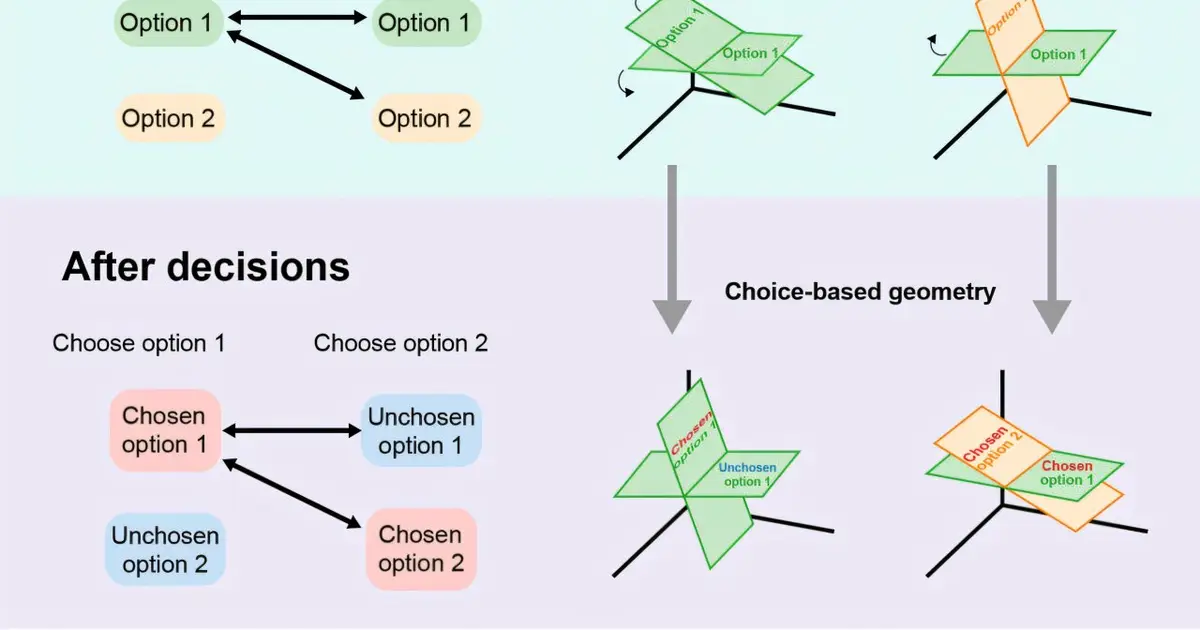 How the brain keeps its options straight at decision time