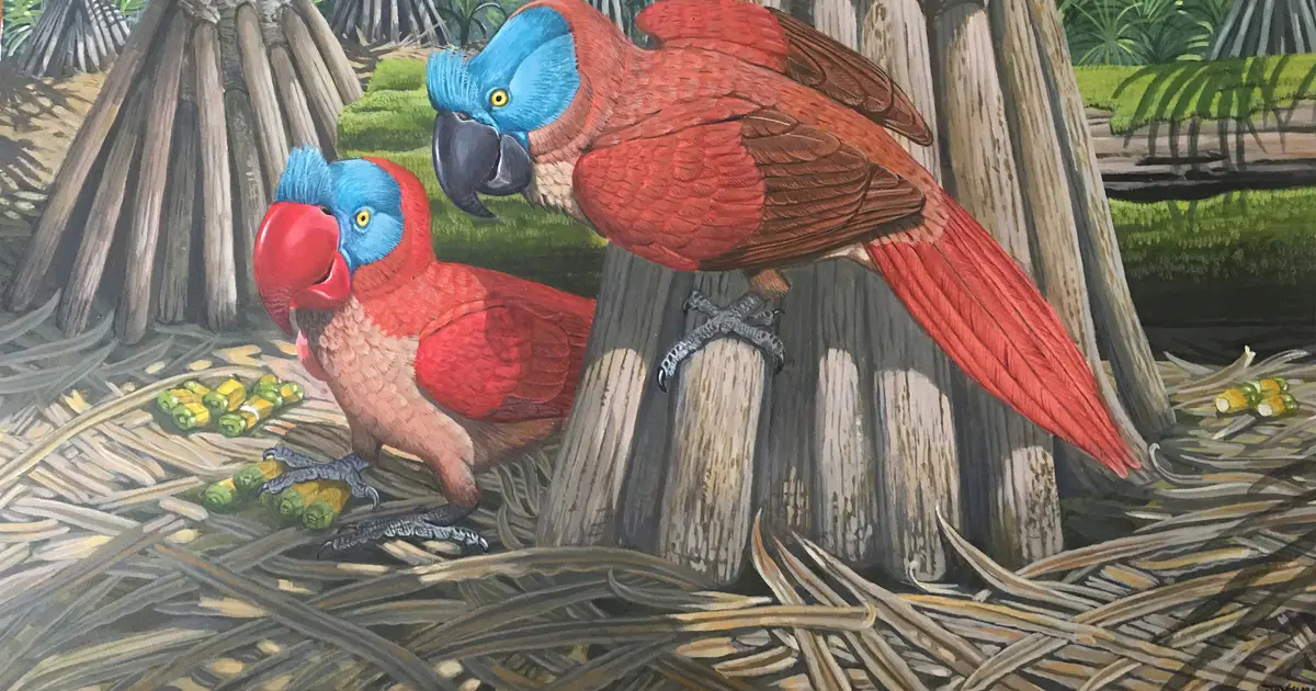 Human impacts rewrite the rules of island biodiversity around the globe