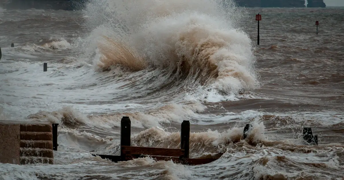 Hurricane storm surge follows predictable patterns, study finds