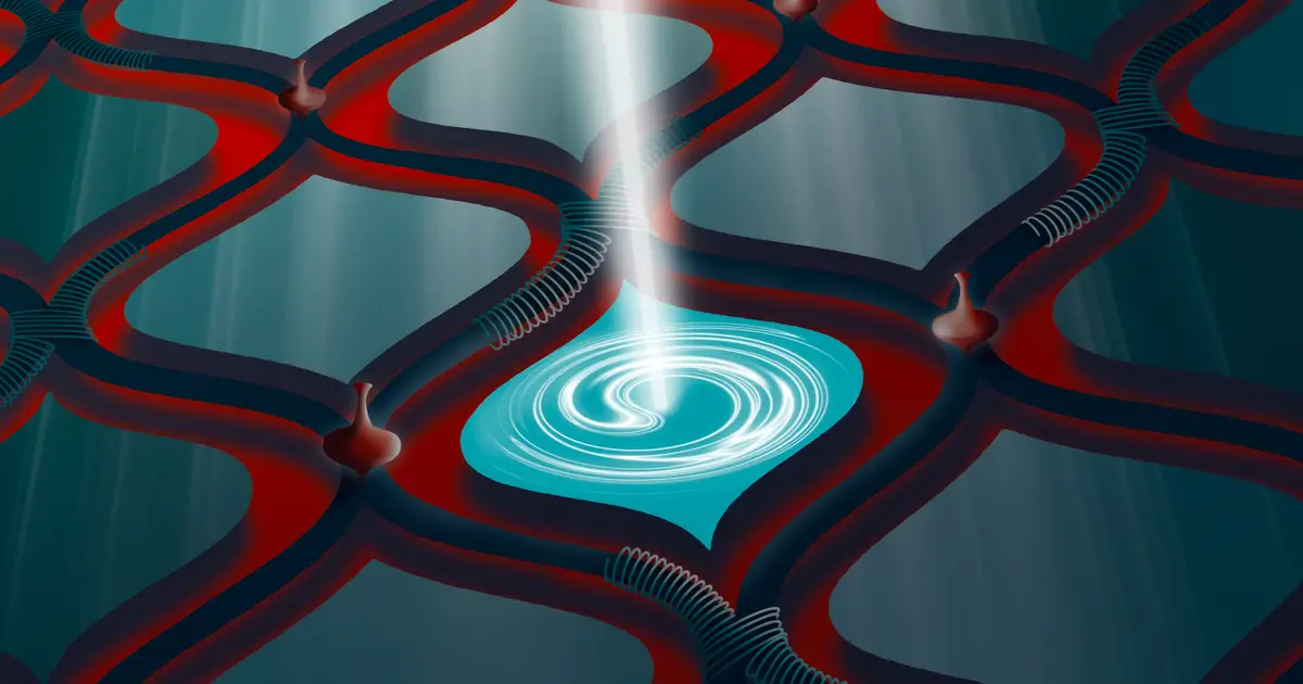 Hybrid quantum computer observes foundational quantum effect in a new setting