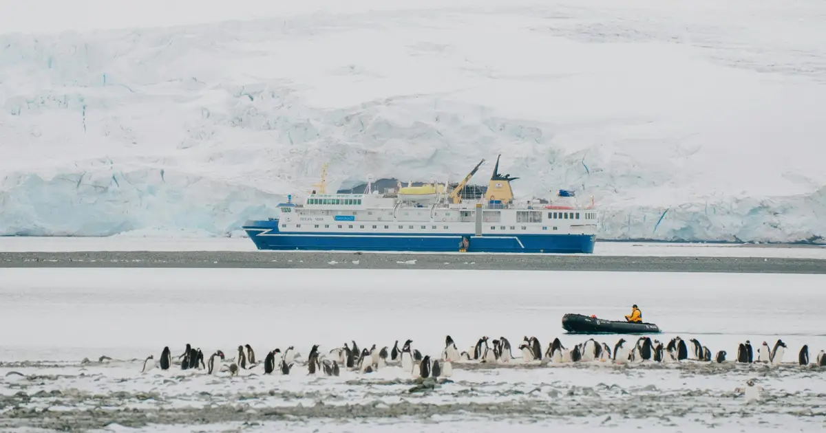 'I can't work in the farce of climate change cruise tourism anymore': Why Antarctic guides quit their dream jobs