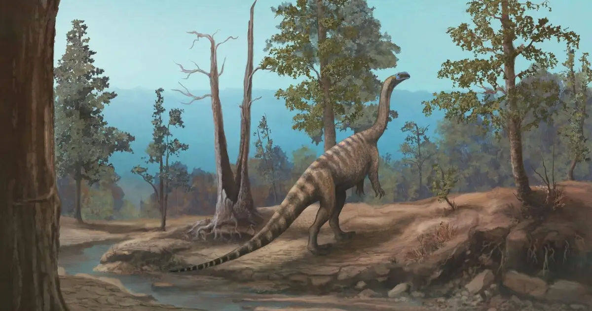 Zimbabwe's dinosaurs were different from South Africa's: New species offers clues