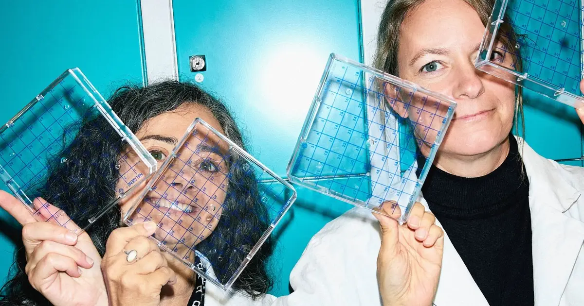 Immune system discoveries reveal how body balances defense, protection and repair