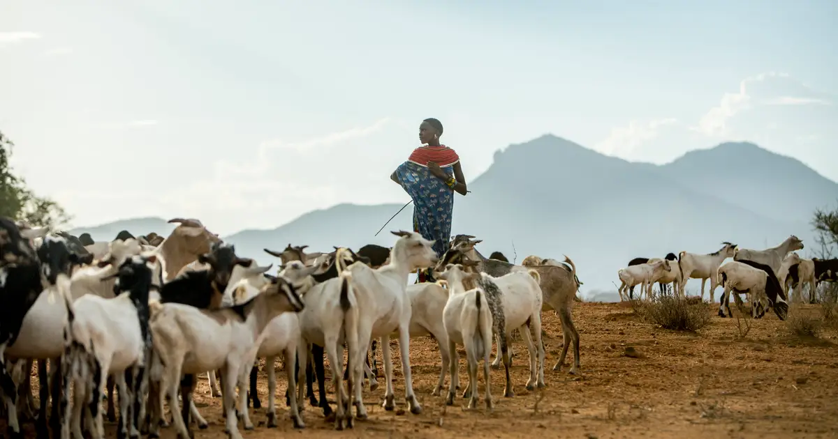 Improved climate forecasts alone won't protect Africa's poorest farmers