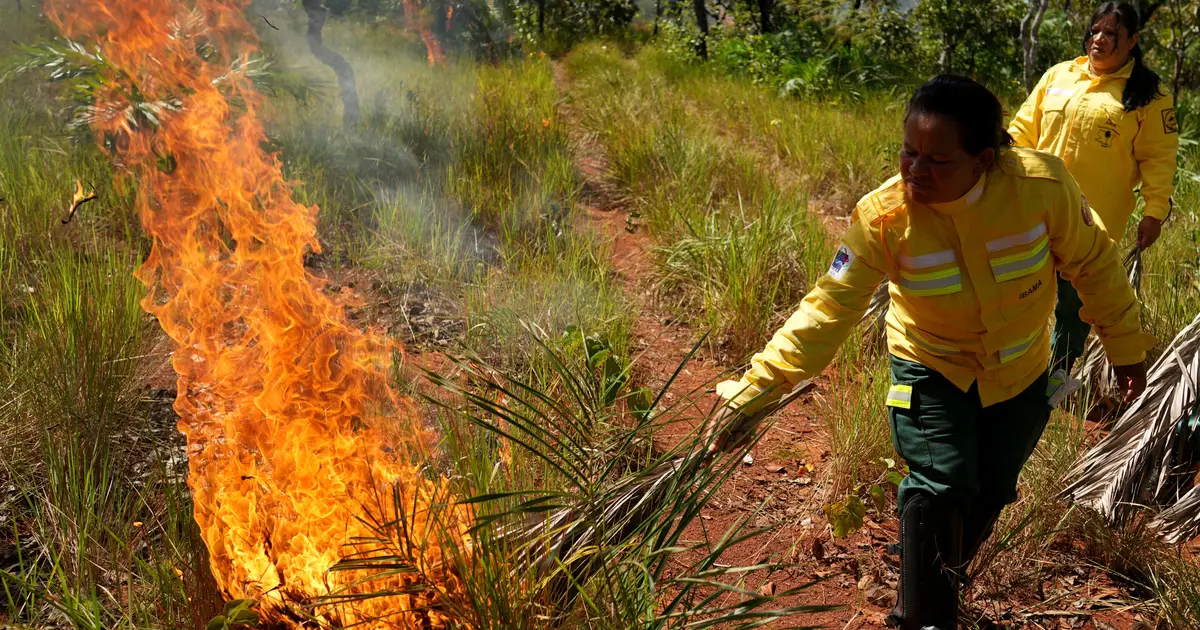 In Brazil's Cerrado region, Indigenous fire practices reshape wildfire strategy