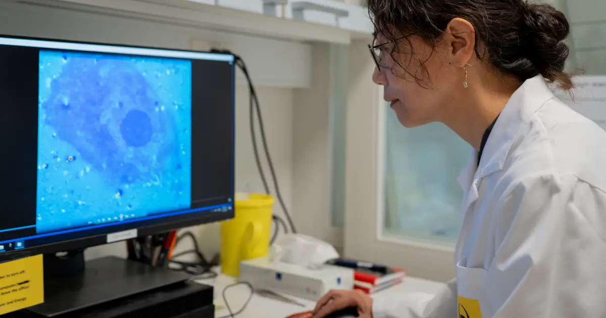 Injectable nanoparticles make blind retinas respond to light in preclinical study