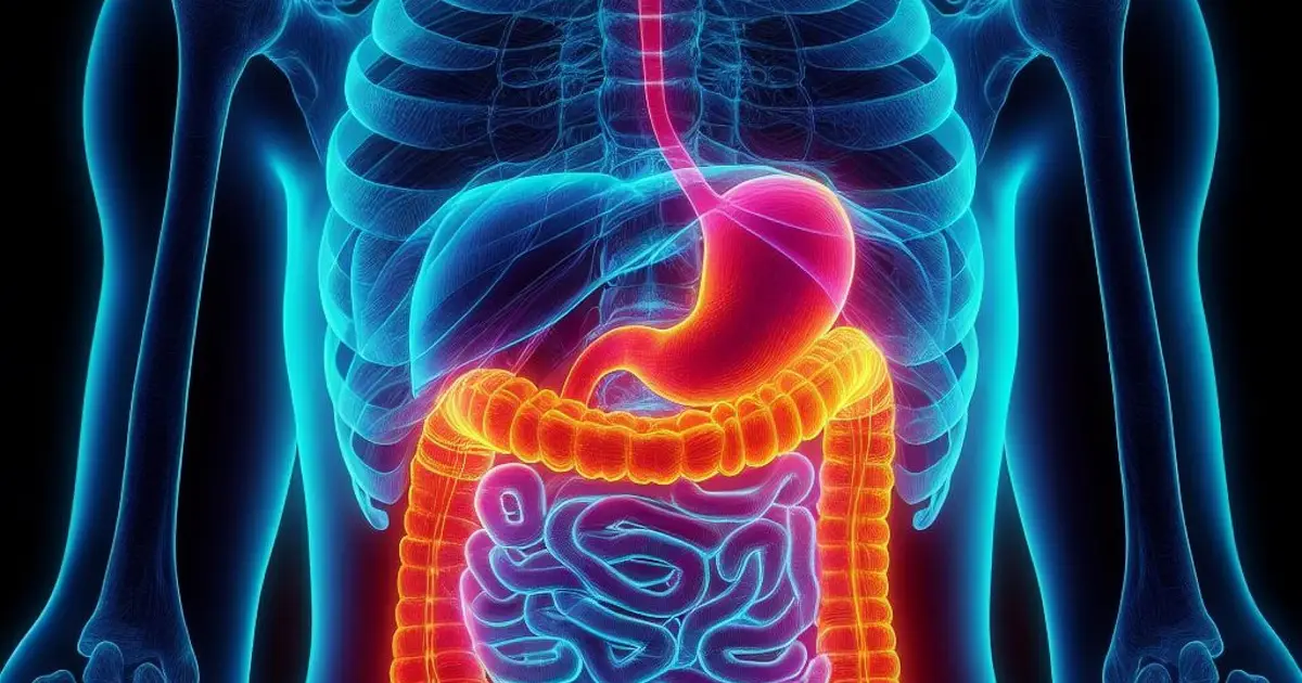 Family cancer burden predicts risk in patients with inflammatory bowel disease