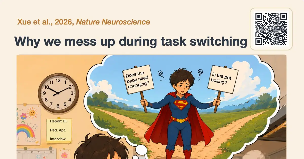 Irrelevant visual details interfere with decisions under uncertainty, brain research shows