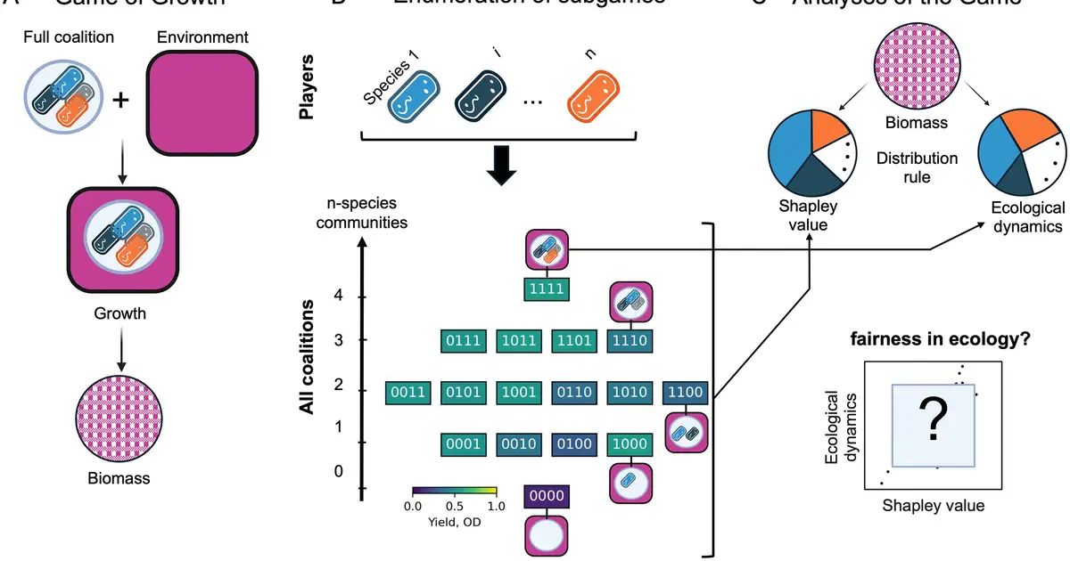 Is the state of nature fair? Researchers measure how biomass is distributed in microbial communities