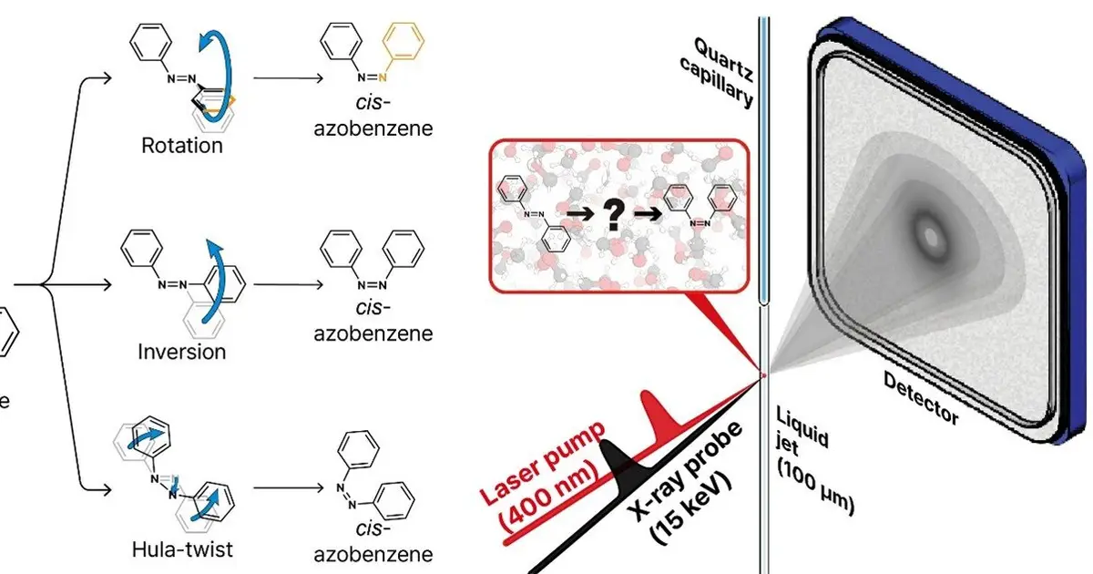 Ultrafast X-rays reveal how the light-responsive molecular switch azobenzene changes shape