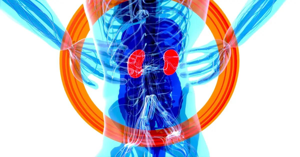New guidelines recommend all patients with heart disease are tested for kidney disease