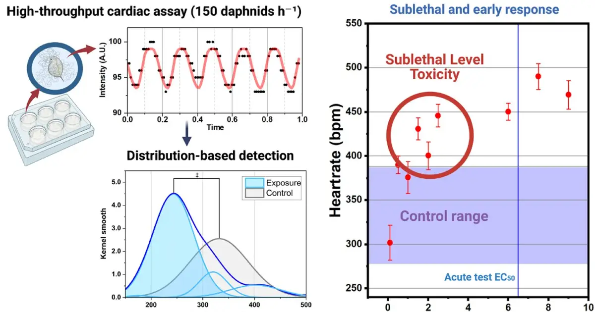 Automated system detects early signs of nanomaterials toxicity