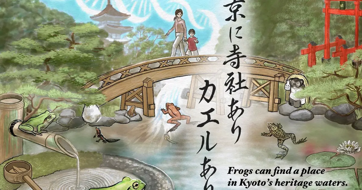 Kyoto's gardens provide habitats for local amphibians