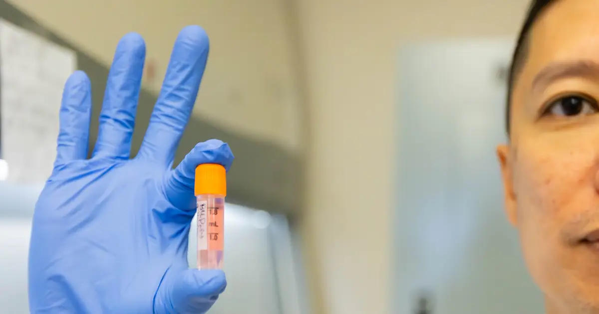 Lab-grown canine muscle cells offer solution for early therapeutic testing