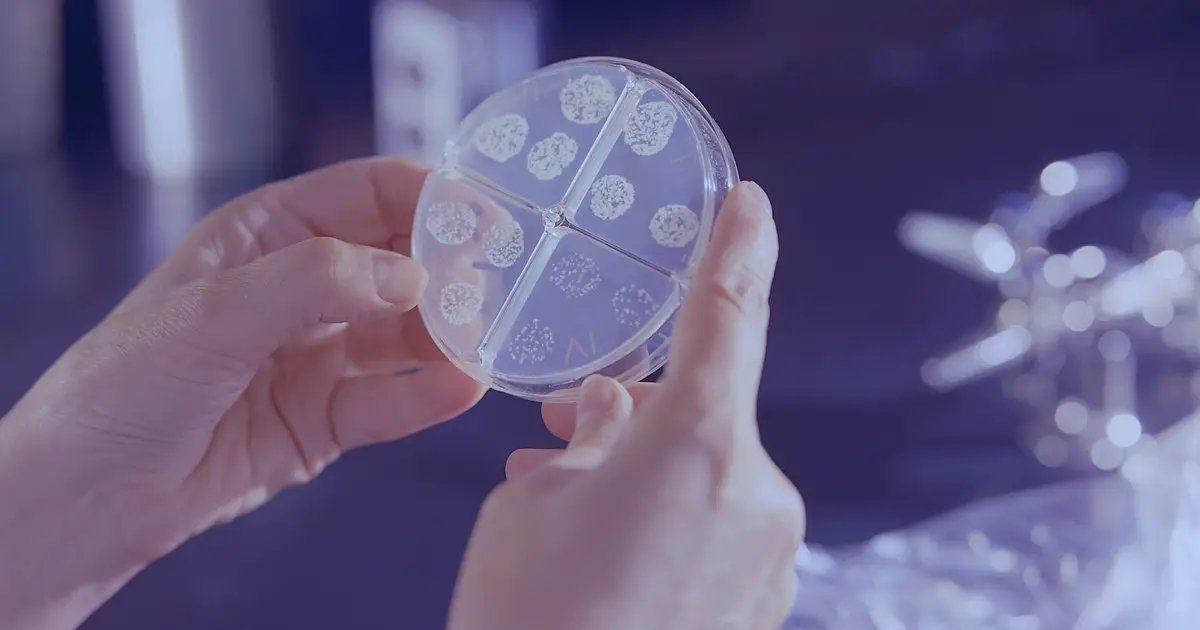 One in eight cancers are likely caused by an infection worldwide, new study finds