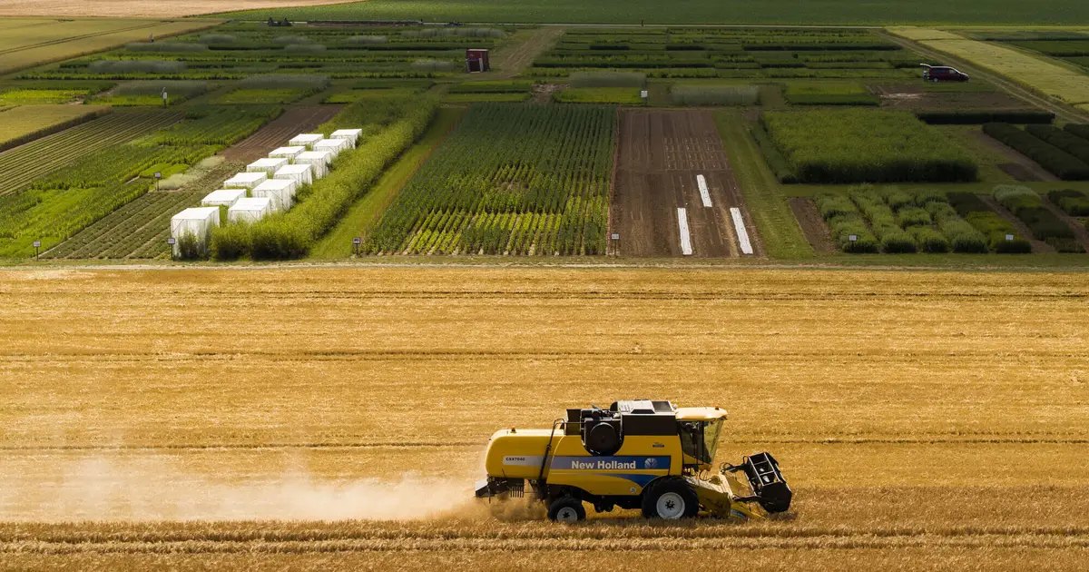 Reversing soil degradation by 10% could feed 70 million more, global analysis finds