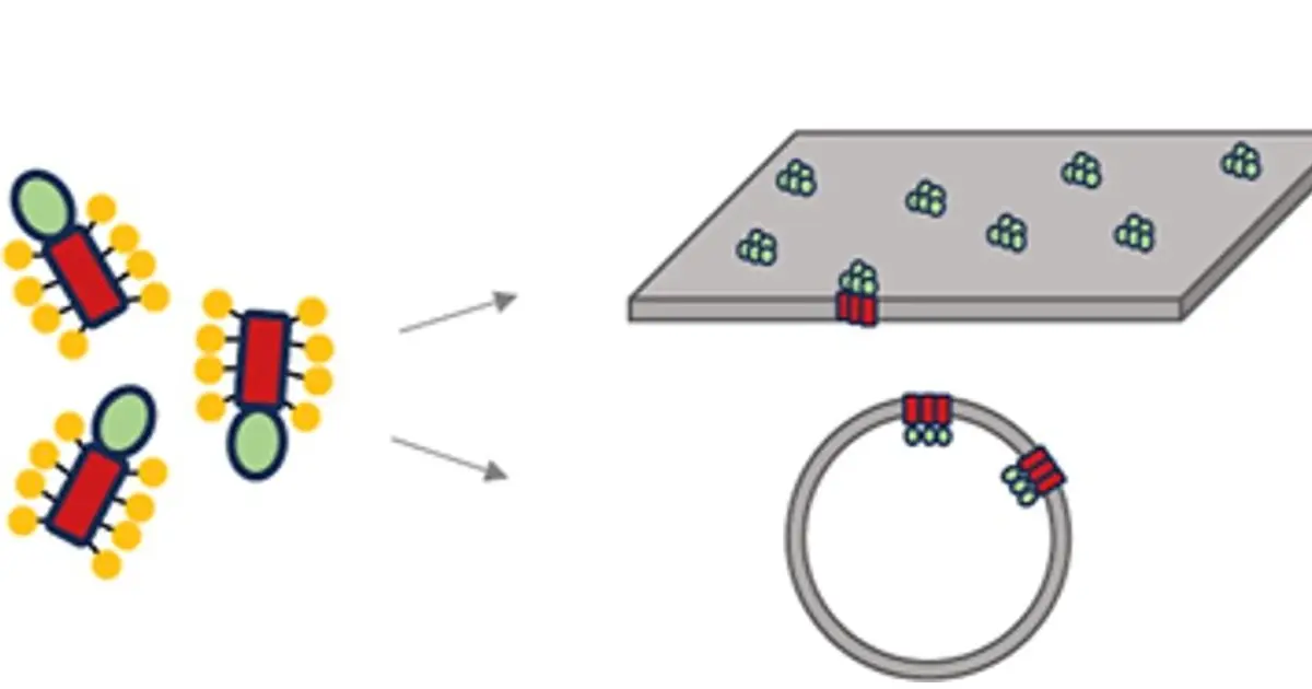 Light-driven proteins in artificial membranes—a new method for biohybrid systems