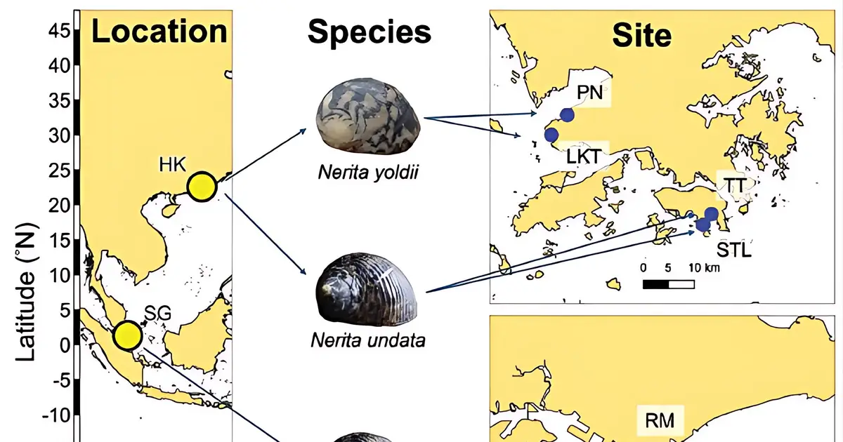 Tropical species near thermal limits as global warming compresses safety margins