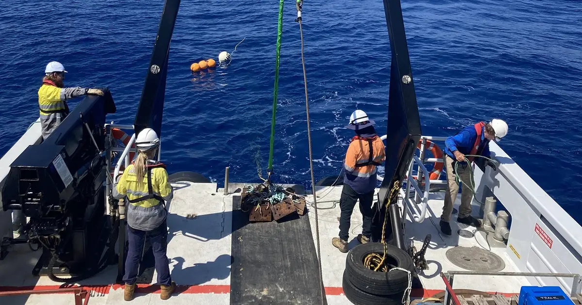 Eighteen years of whale call research reveals key habitat of mysterious species