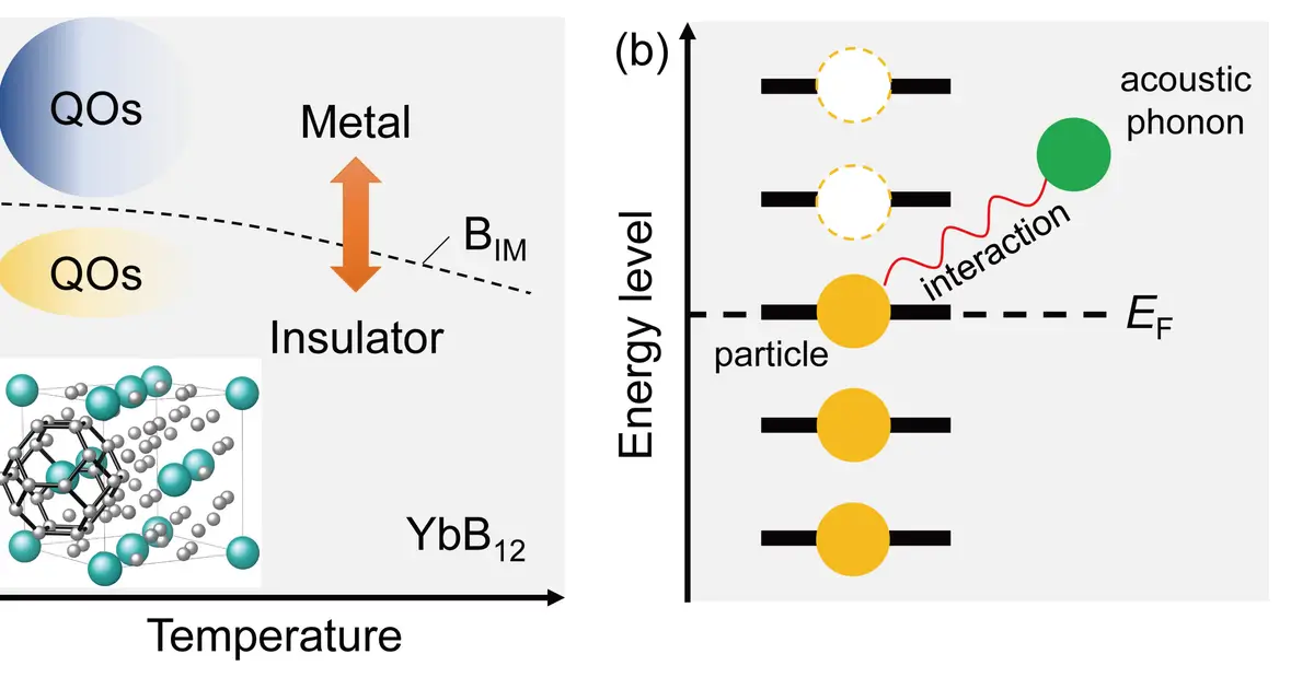 Listening for quantum oscillations in the Kondo insulator ytterbium dodecaboride