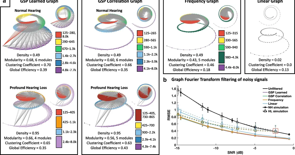 Cochlea network model reveals how inner ear may sort sound from noise