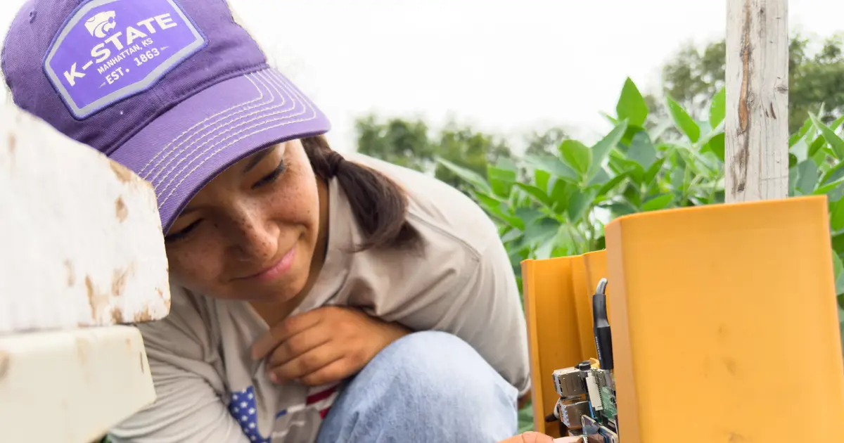 Listening to hidden insects could give farmers an early warning of crop pests