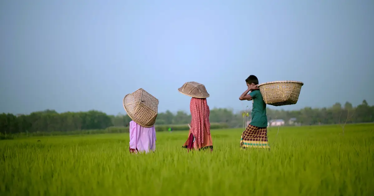 Livelihood, education goals affect migration under climate change
