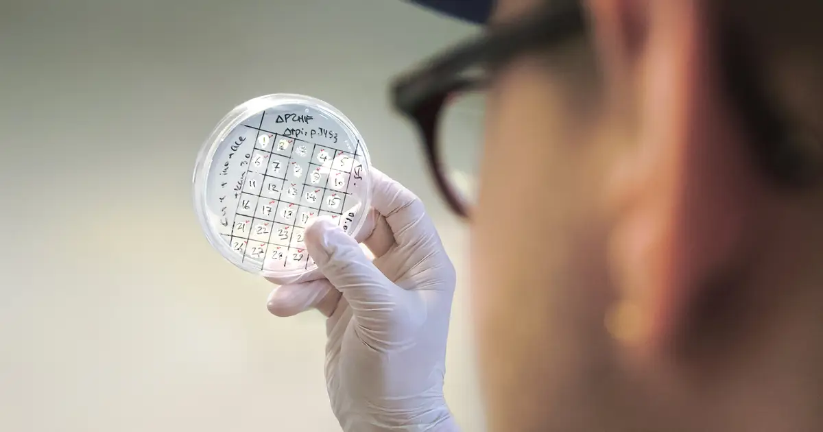 Making climate-neutral plastics and cosmetics using bacteria