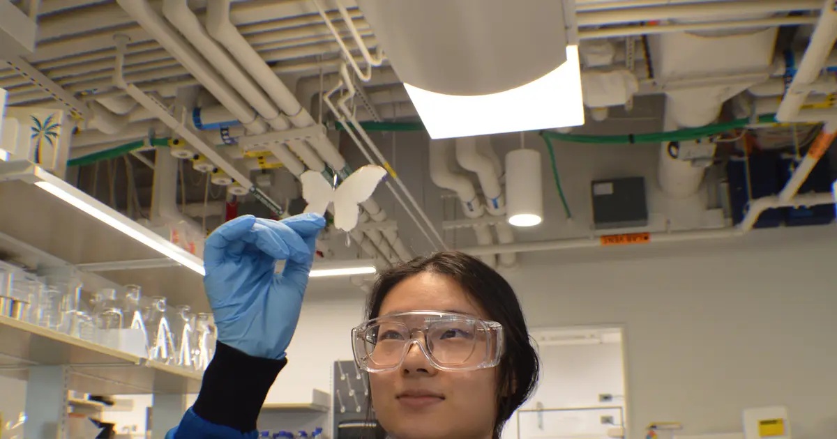 Butterfly-inspired crystals could enable durable, potentially safer glitter