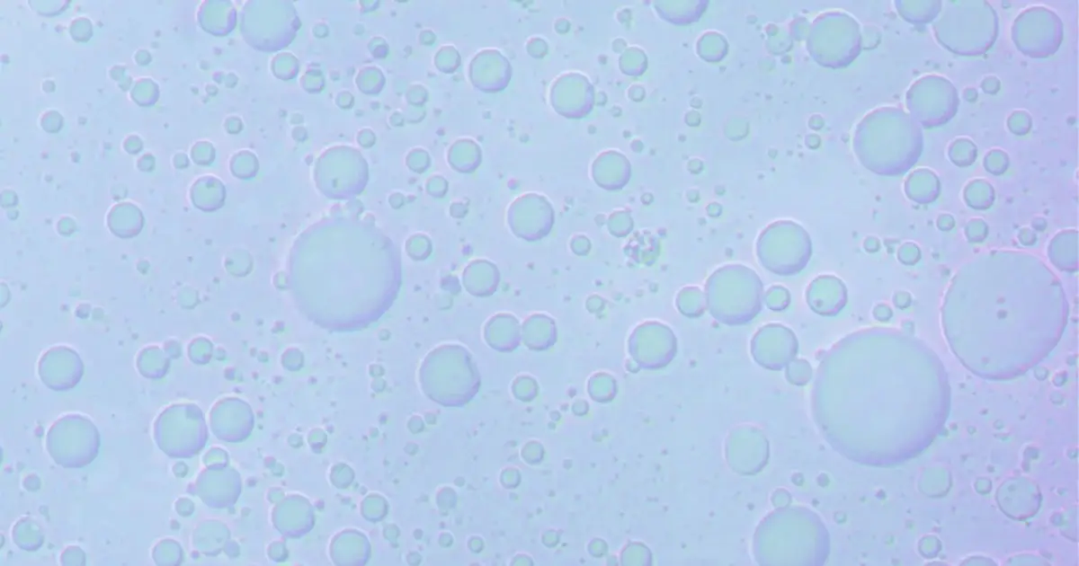 Process doubles the size of PFAS molecules, making them easy to destroy