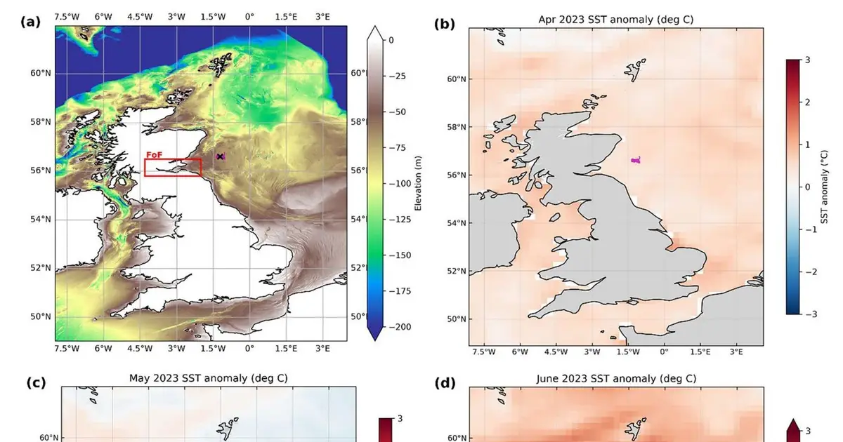 North Sea heat wave fueled underwater plankton bloom largely missed by satellites