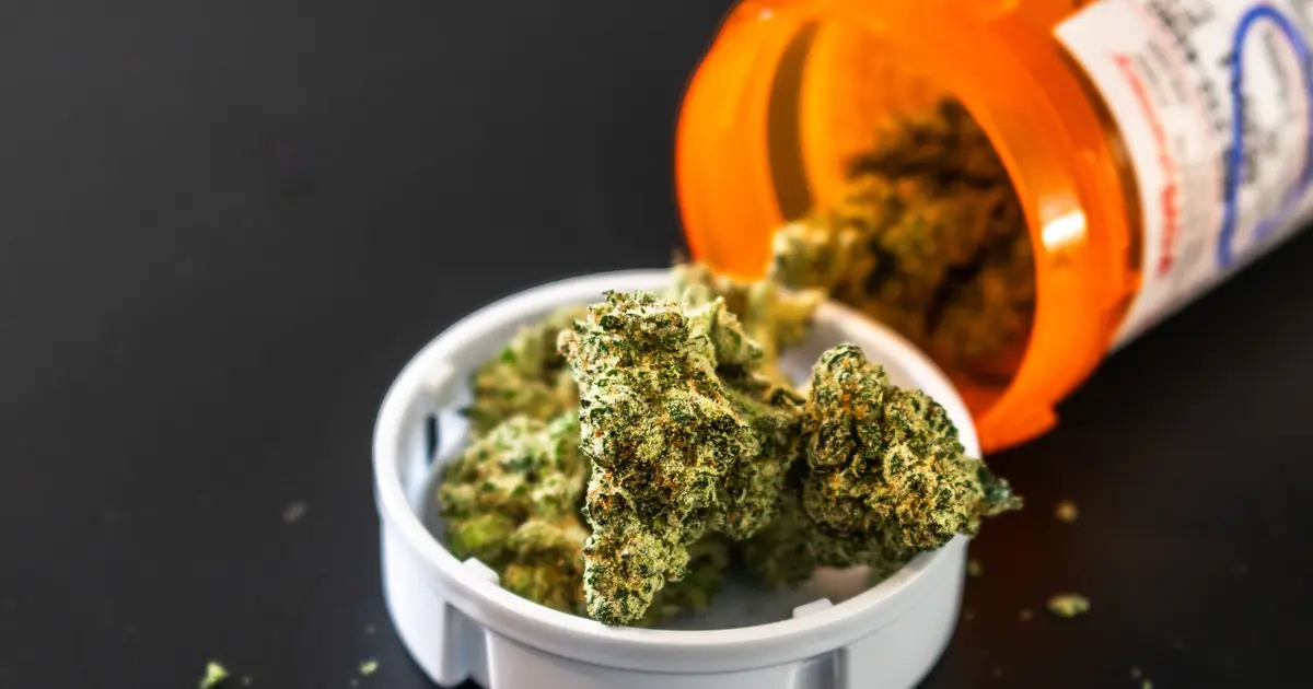Insufficient evidence to back medical cannabis for insomnia