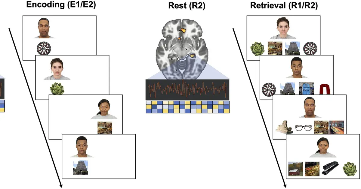 Memory decline starts earlier than you think, new research suggests