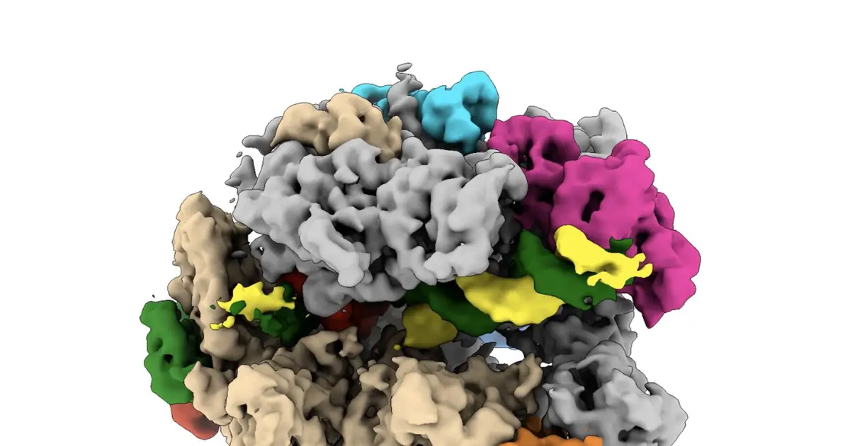Messy life-producing cellular process caught in action for first time