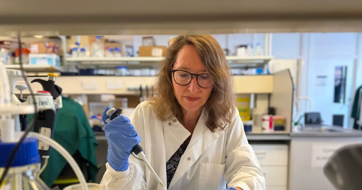 Micro-bladder model offers clues to stopping recurrent UTIs