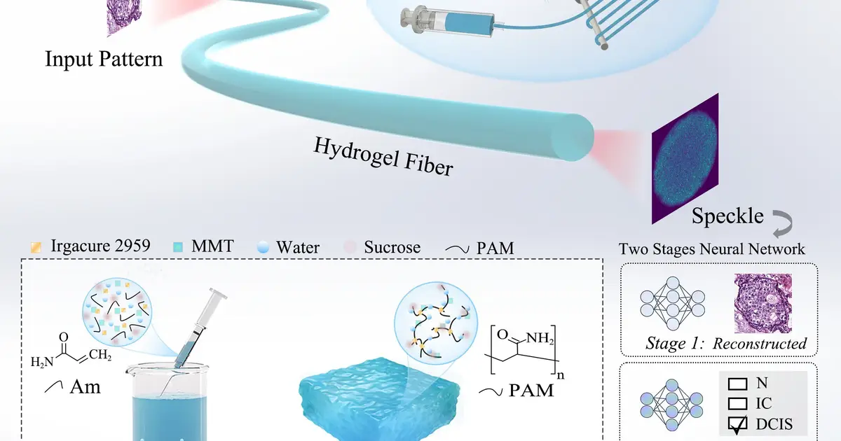 Microscale hydrogel fibers could enable imaging inside tiny tissue structures