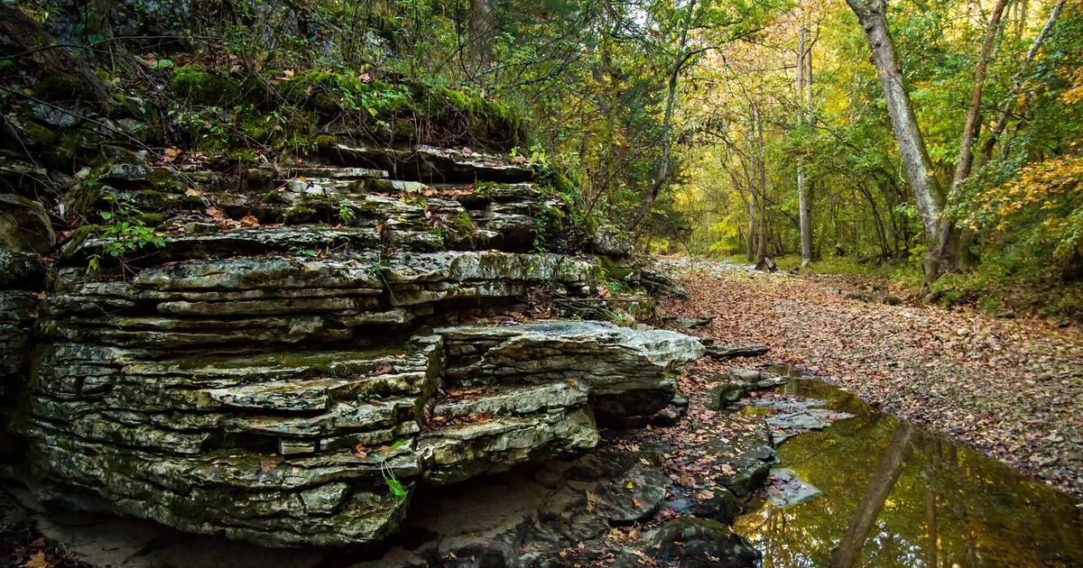Scientists map more than 200 years of nature's progress