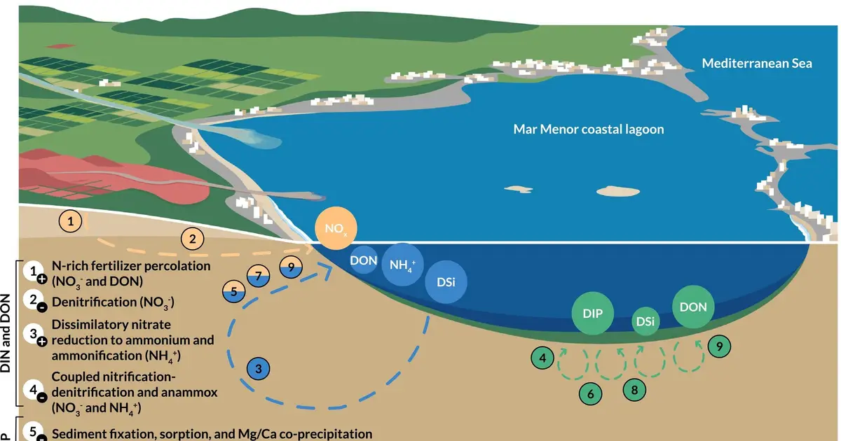 More than 90% of key nutrients degrading the Mar Menor lagoon come from recirculated underground flows