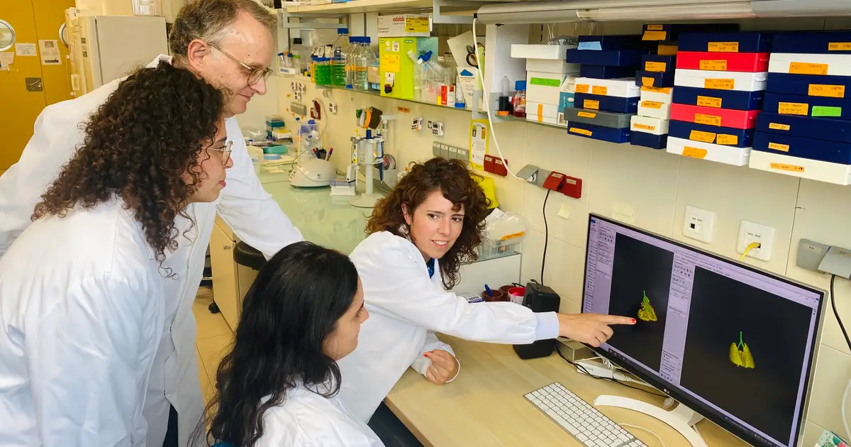 Nanoparticles inspired by lung fluid improve therapies targeting respiratory system
