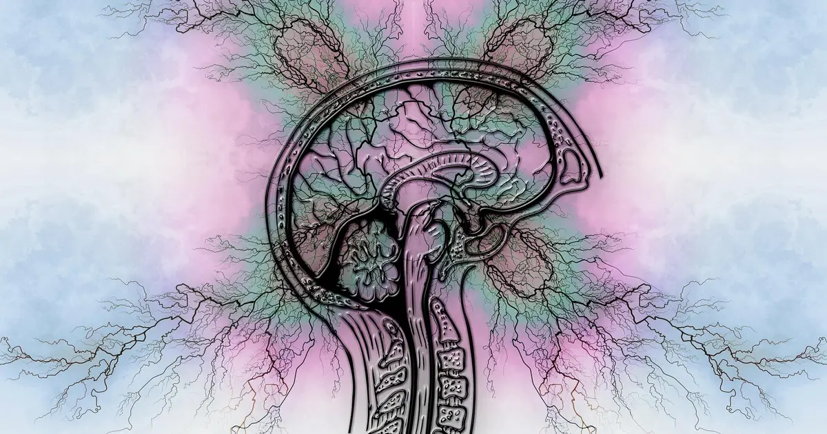 How functional neurological disorder is both 'all in your head' and beyond it
