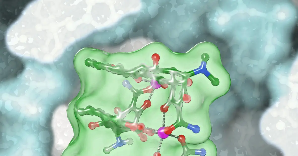 Scientists uncover two new ways doxycycline disables bacterial ribosomes