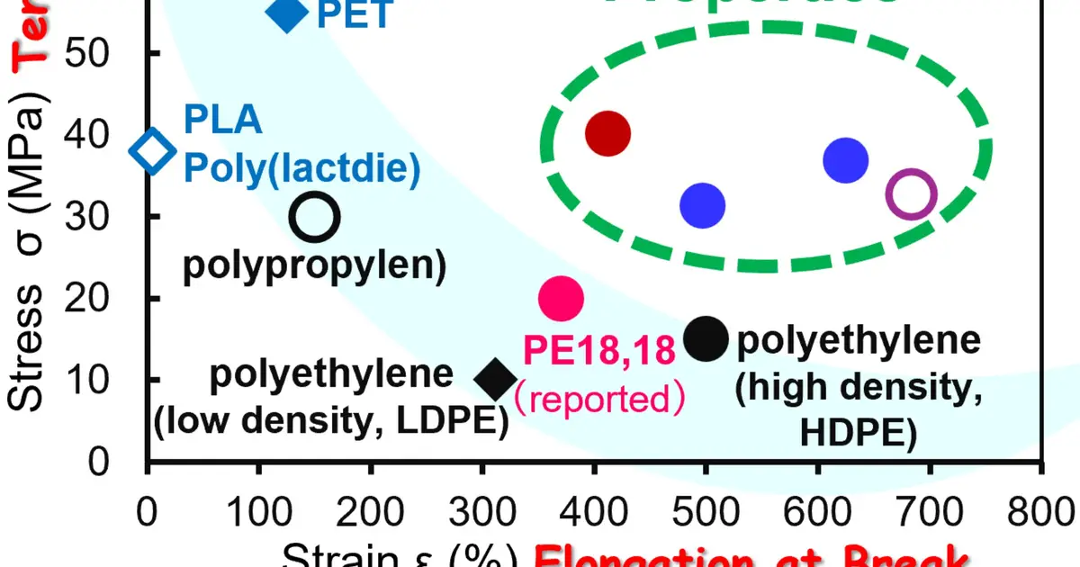 New biobased polymers exhibit excellent tensile properties beyond polyolefins