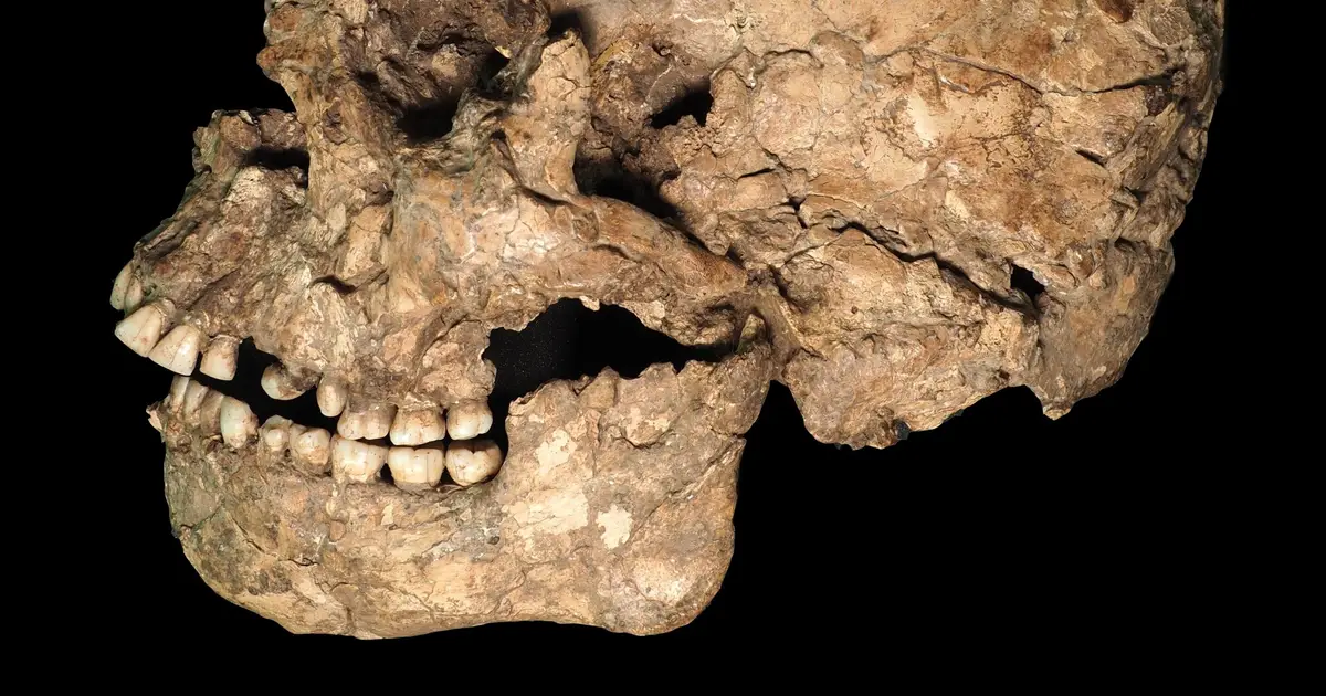 Ancient jaw wound reveals possible violence in Homo sapiens 90,000 years ago