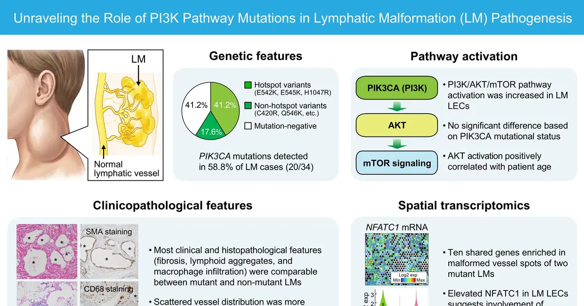 Abnormal lymph vessels show heightened growth signaling regardless of key gene mutation